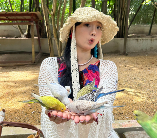 Langkawi Wildlife Park Many Parrots eating over a girls hand 