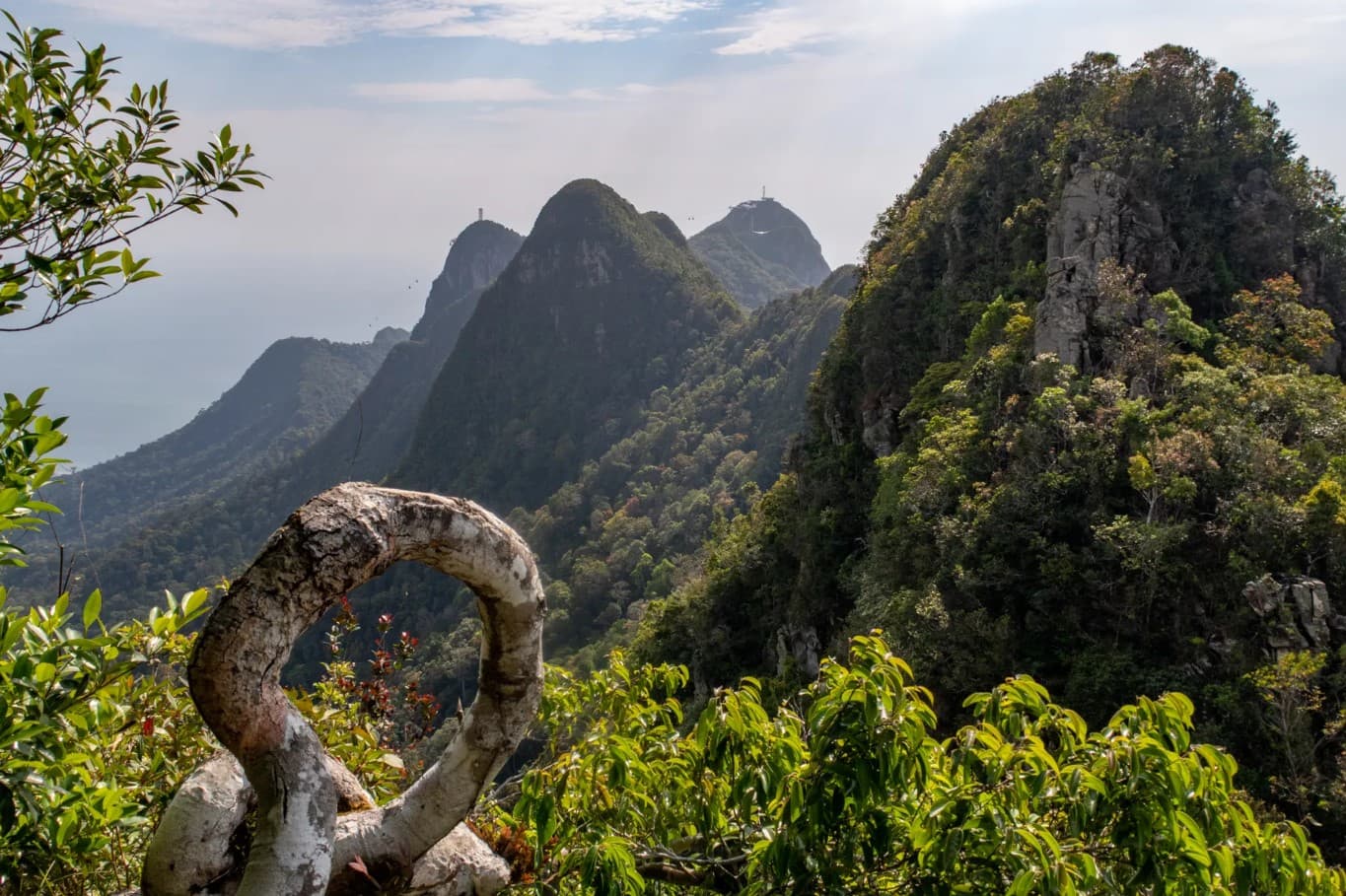 best langkawi hiking trail gunung machinchang trail