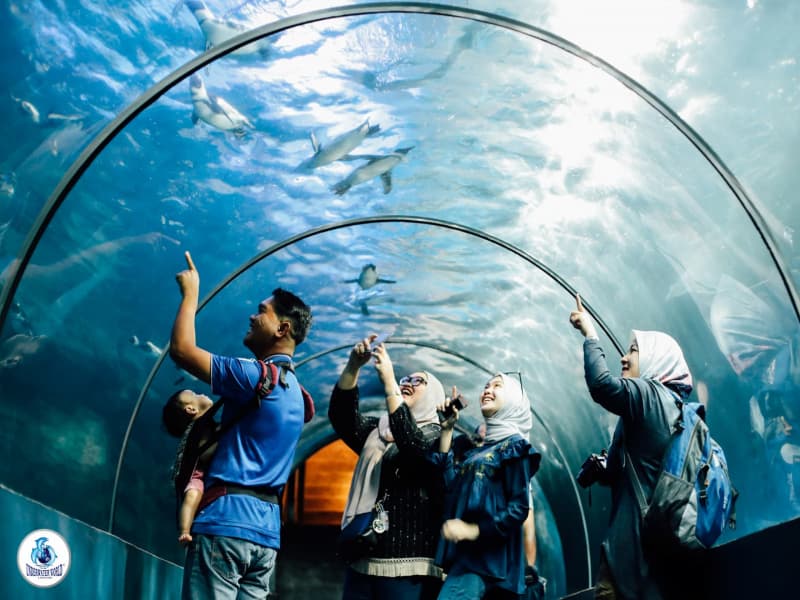 Best indoor activity to do during rainy season in Langkawi Underwater World