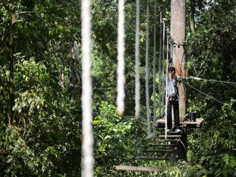 Woman overcoming plank bridge challenge at Skytrex Adventure Langkawi