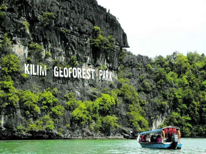 Langkawi Mangrove Tour Booking Online